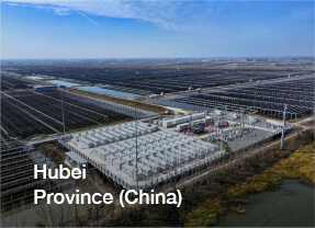 利来w66(中国区)_来利国际旗舰